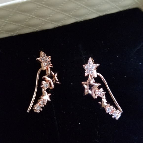 Rose Gold Micro Pave Star Crawler Earrings - Picture 6 of 7